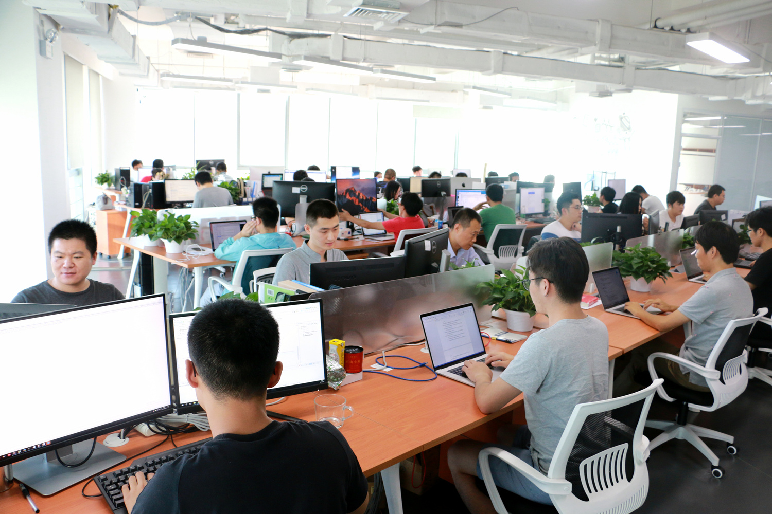 1539753801548513.jpg IMG_3369_副本.jpg