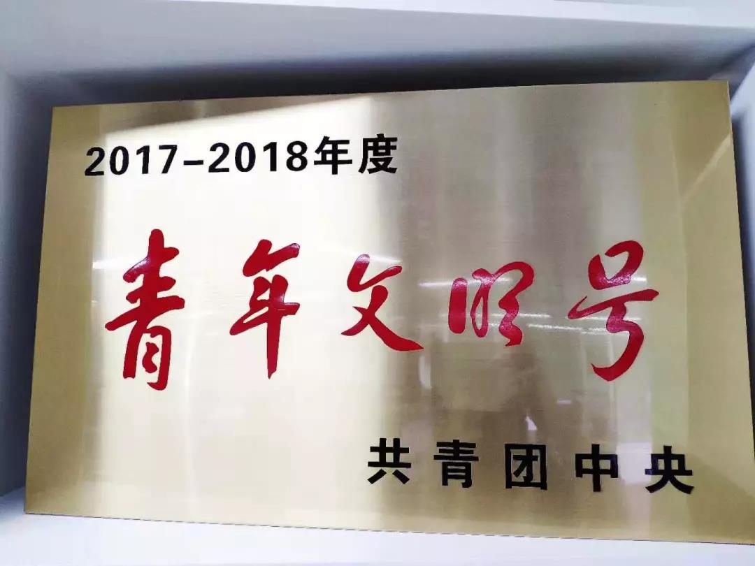 大系照片.jpg